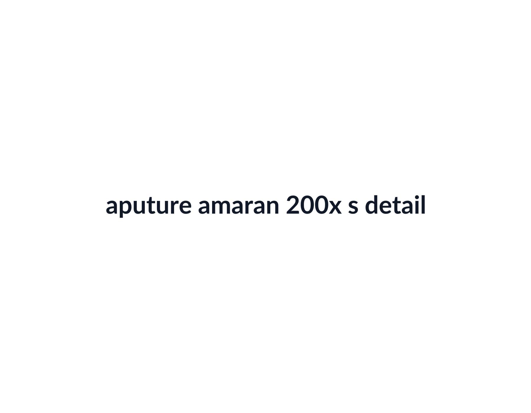 Aputure Amaran 200x S image 4