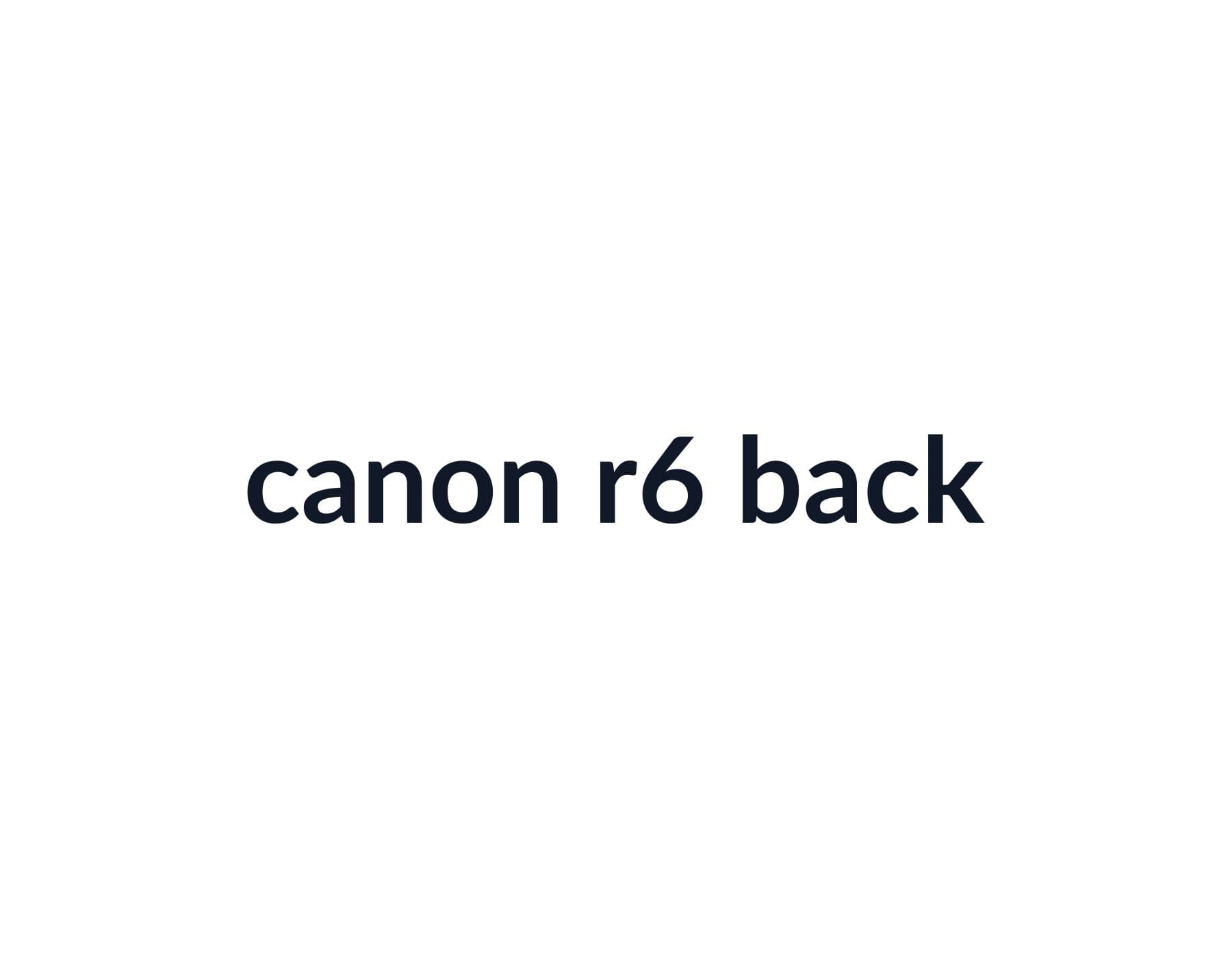 Canon EOS R6 image 3