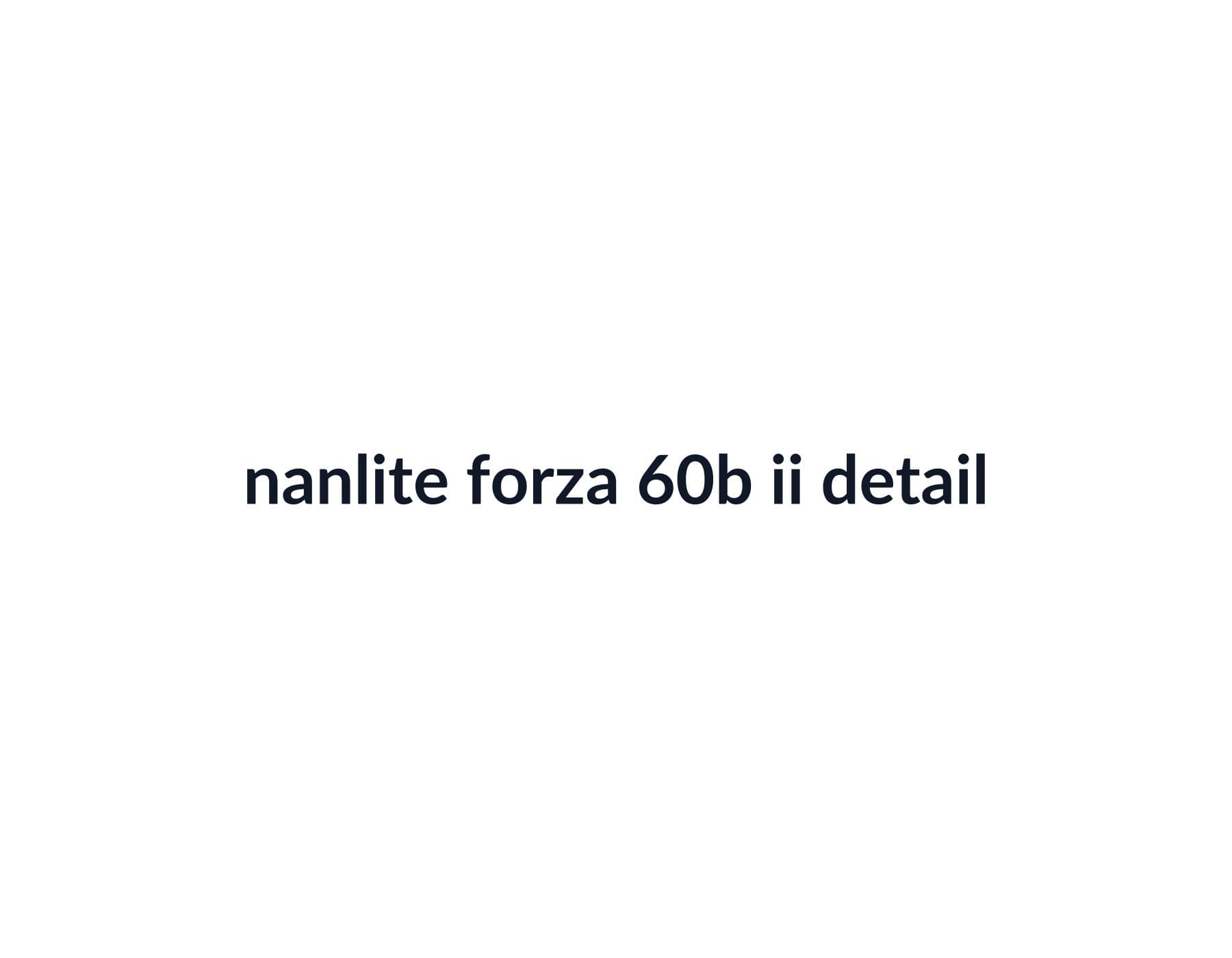 Nanlite Forza 60B II image 4
