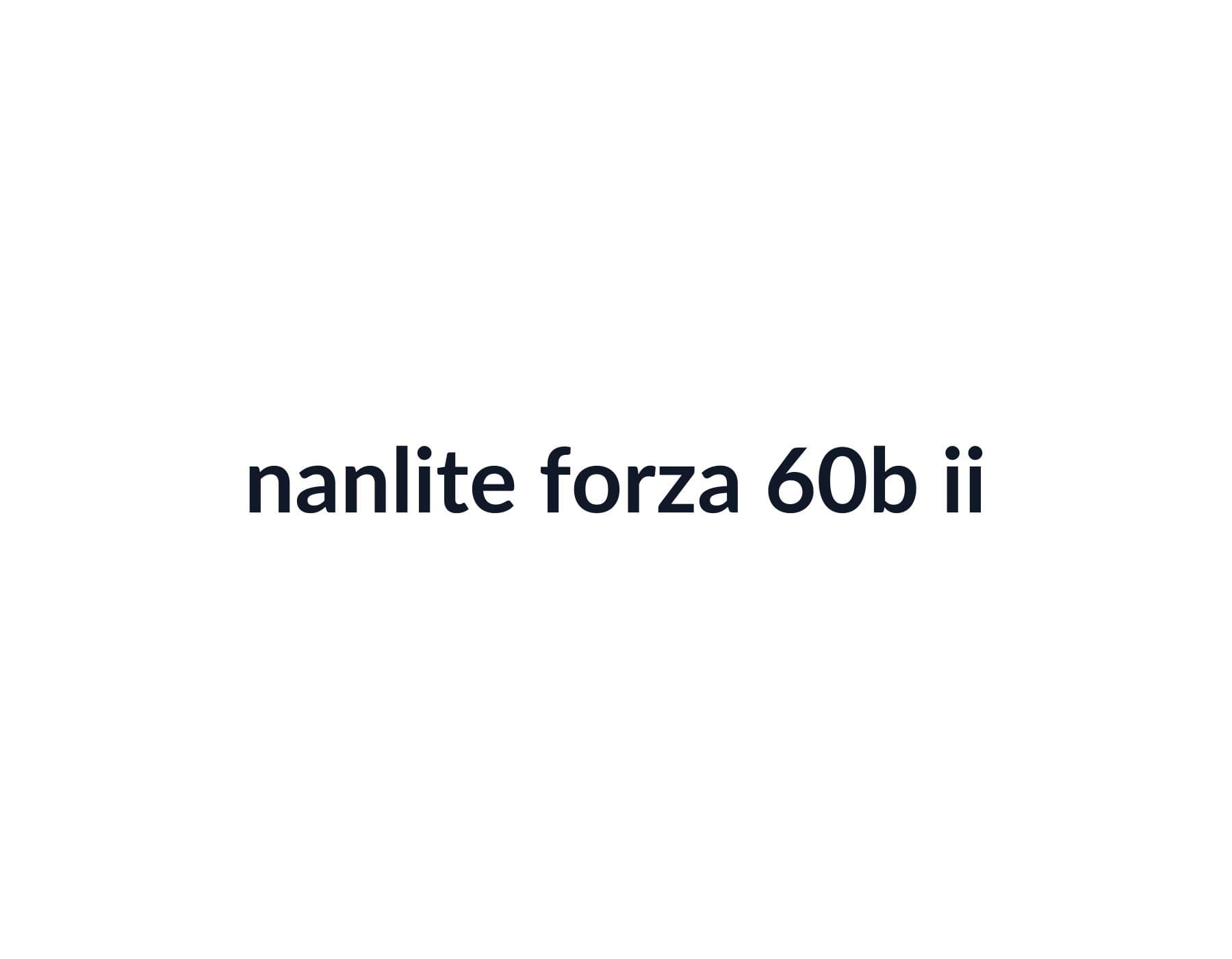 Nanlite Forza 60B II image 2