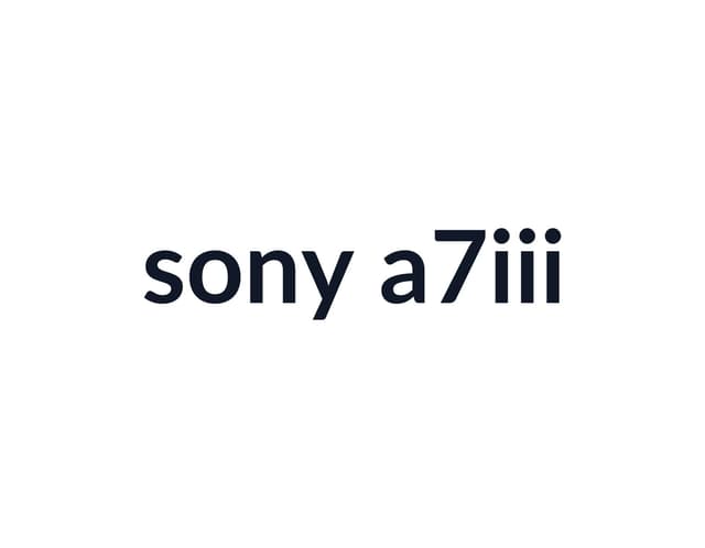 Sony A7 III thumbnail 2