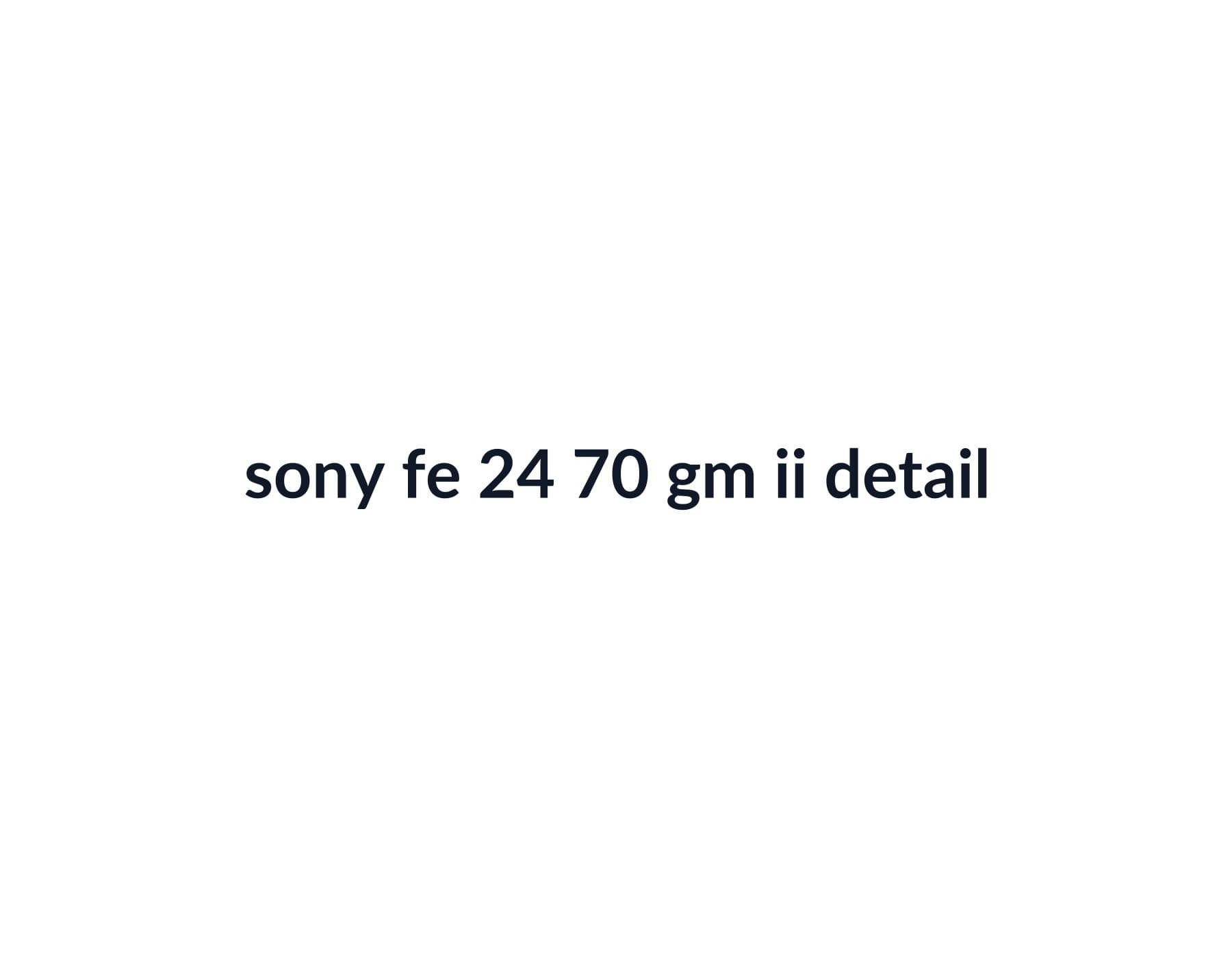 Sony FE 24-70mm f/2.8 GM II image 4